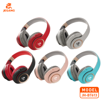 JH-BT613Can TF+FMBleutooth headset