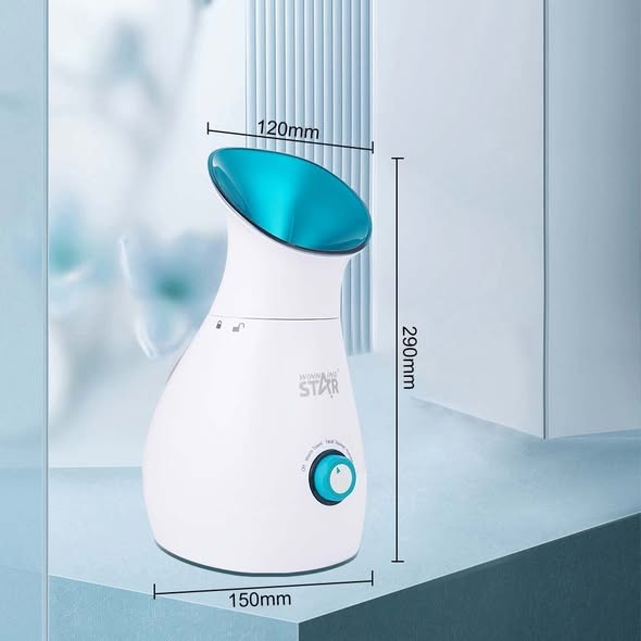 Soin du visage ST-9551 WINNINGSTAR à vapeur