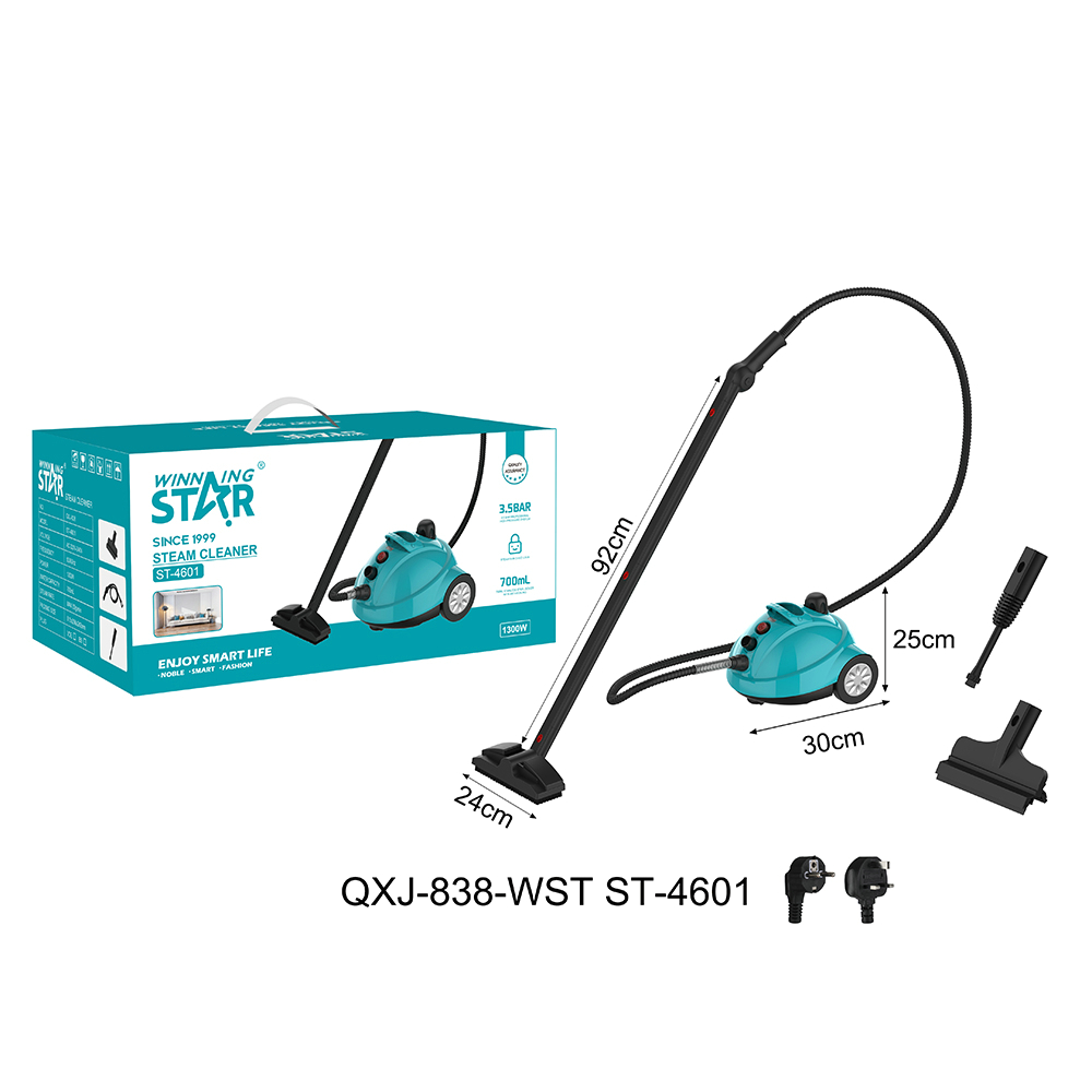 Nettoyeur vapeur ST-4601 WINNINGSTAR professionnel