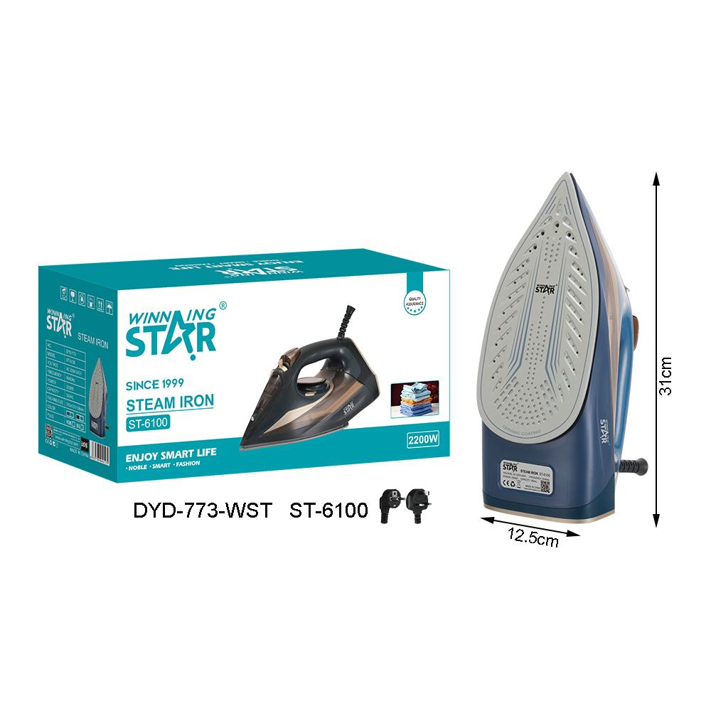 Fer à repasser ST-6100 WINNINGSTAR à vapeur, 2200 W