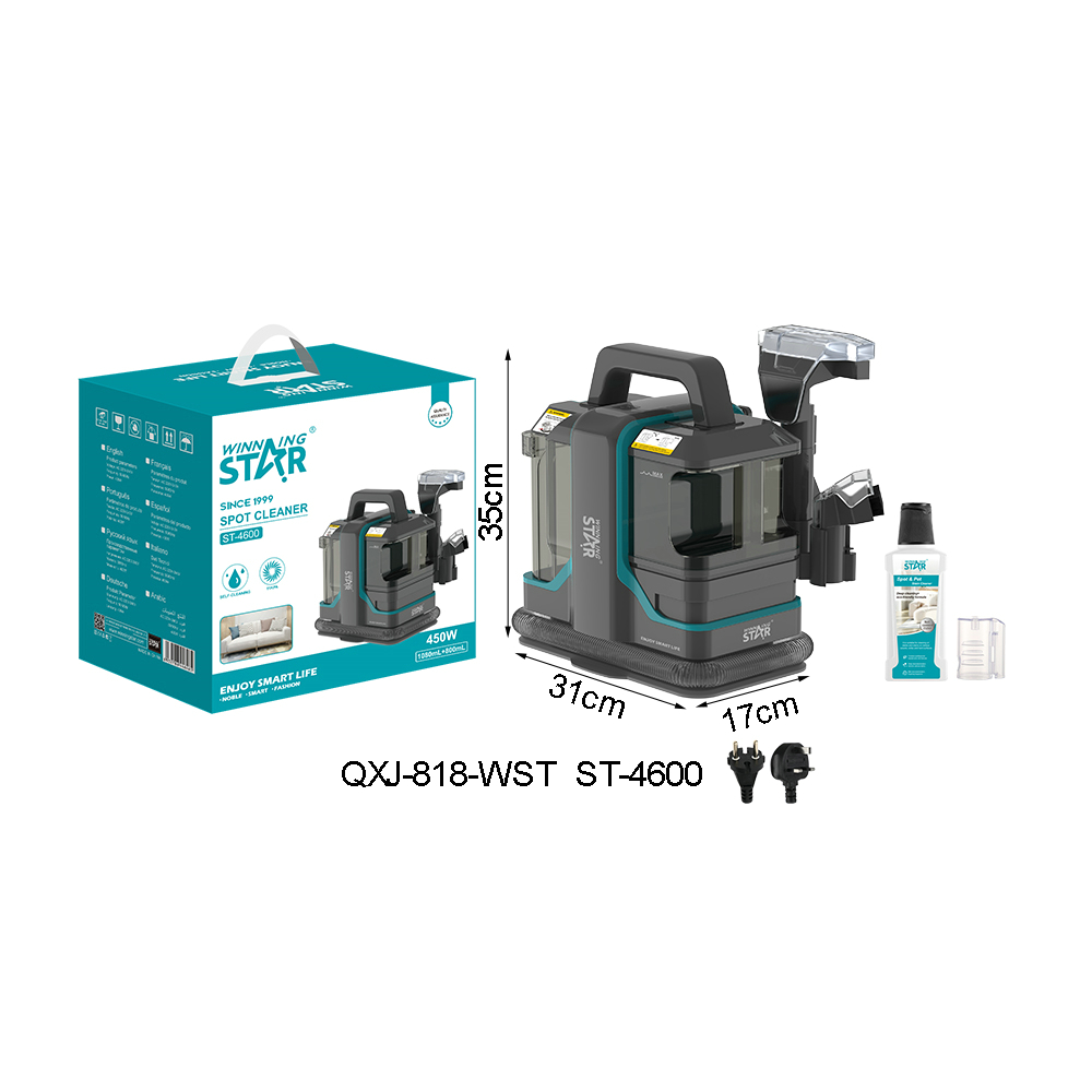 Nettoyeur de tissus ST-4600 WINNINGSTAR