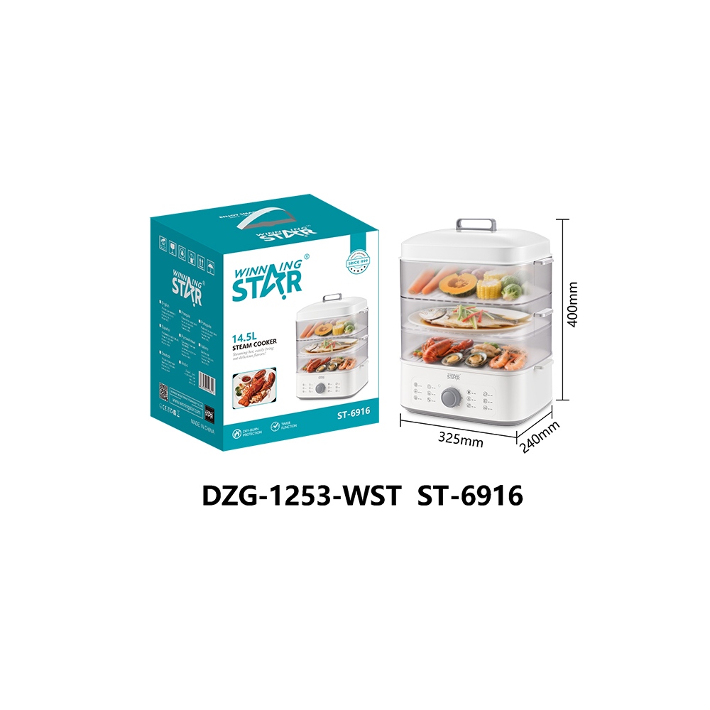 Cuiseur vapeur électrique ST-6916, WINNINGSTAR à vapeur